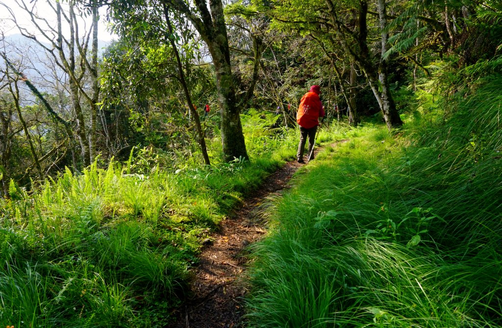 蕨之道~春遊瓦拉米_563048