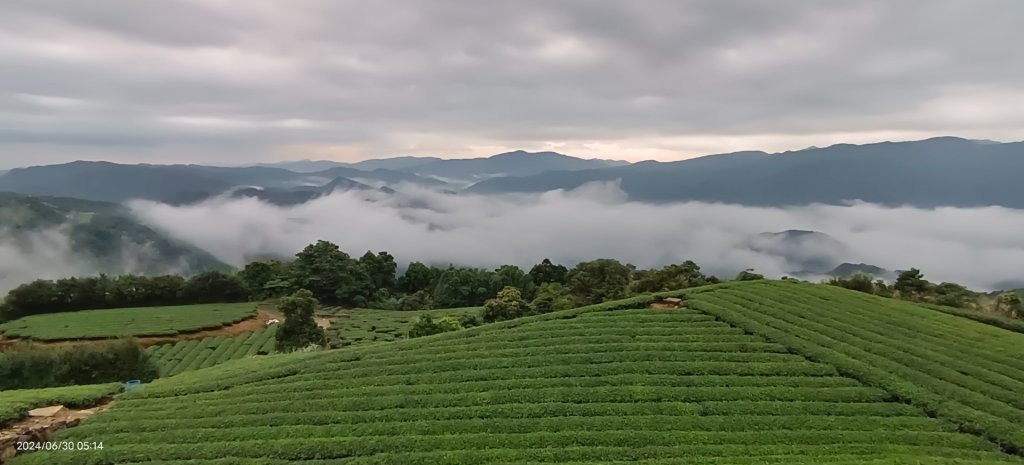 坪林趴趴走追雲趣 - 日出火燒雲雲海&觀音圈6/26 & 30_2538301
