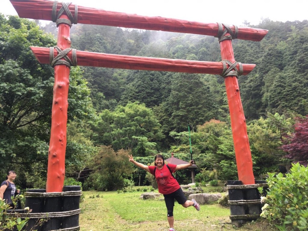 忘憂森林中雨中散步_481443