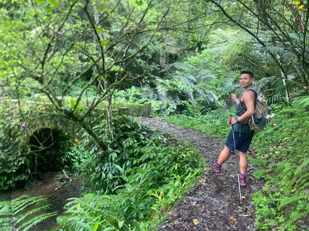 新竹橫山.大崎棟古道.騎龍古道【二個古道走向二個截然不同的方向】封面圖