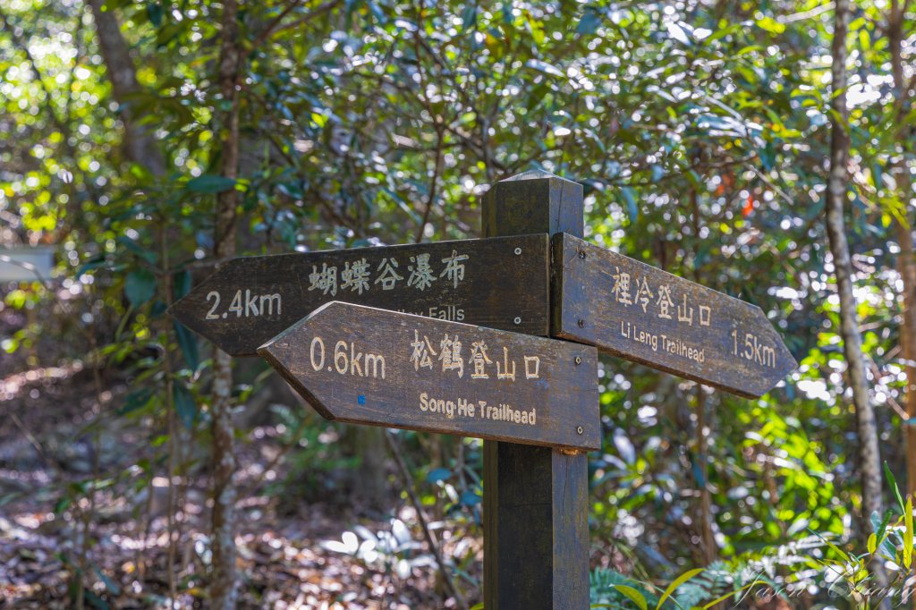 谷關七雄_唐麻丹山_3015610