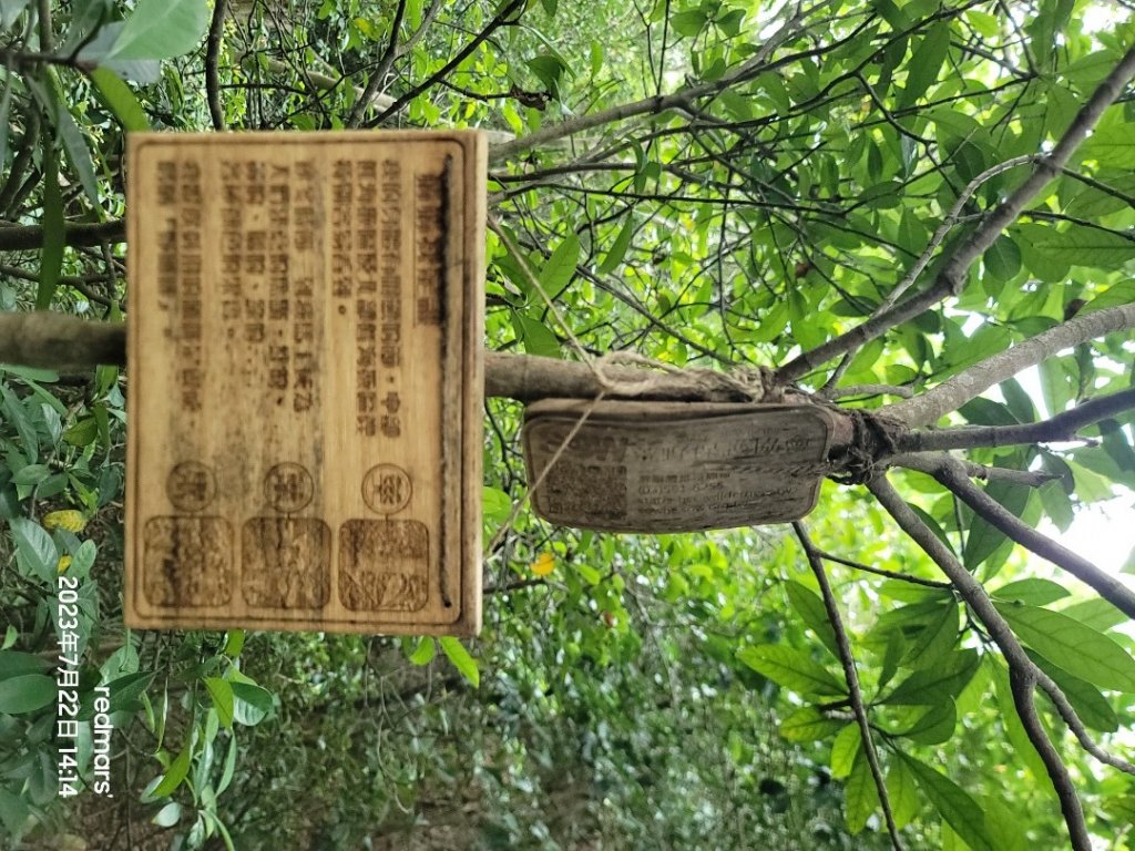 09-蓮華山古道群：飛龍步道、進香古道、採茶古道、載熙古道-2023080722_2261429