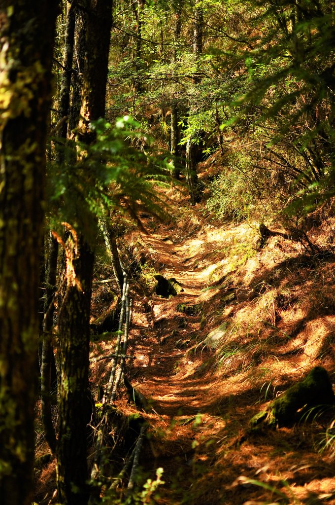 武法奈尾山天巒池_872464