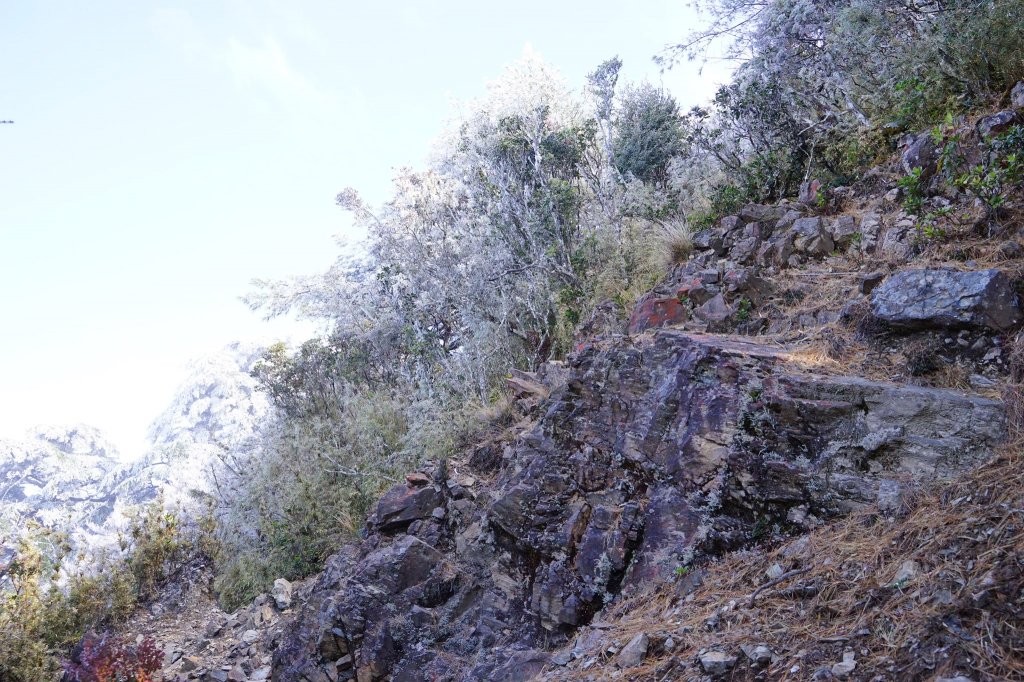 百岳單攻 | 霧淞西巒_1234176