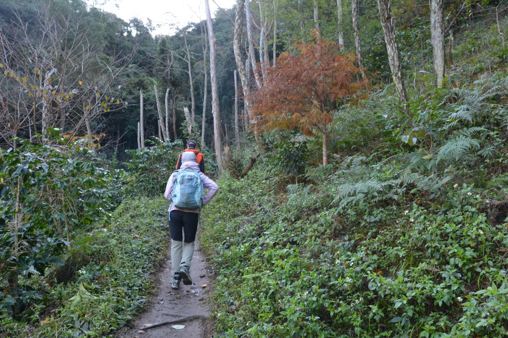 唐麻丹山。蝴蝶谷健行_1239387