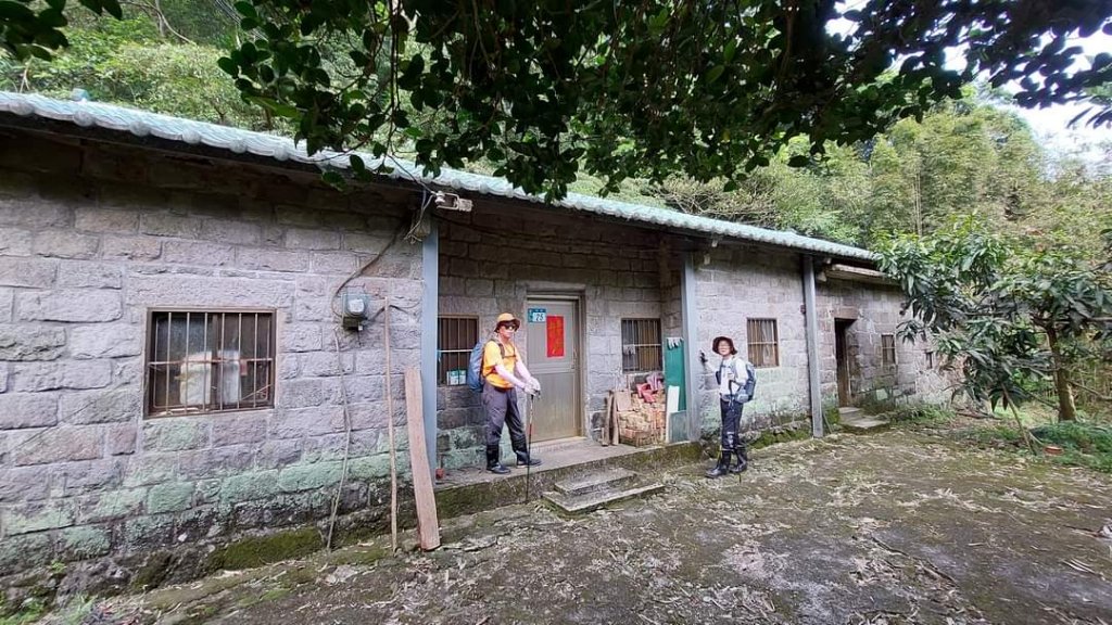 幽林雅徑夢幻古道，綠茵草原牧牛桃花源_1992809