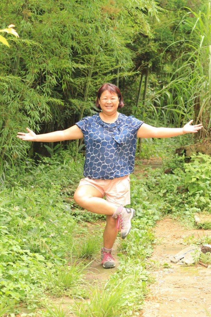 梨子腳山的續腳行程之太平雲梯_468256