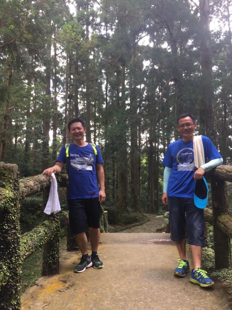 東眼山森林步道_154580