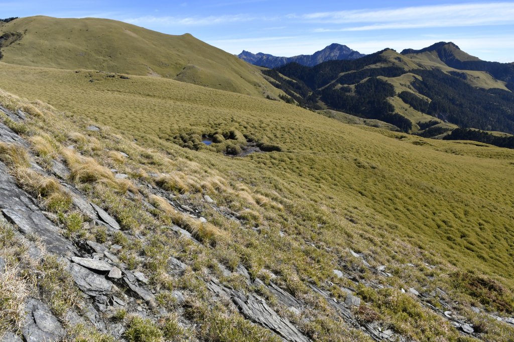 尋一段老獵路：深堀山西南稜（順訪卡賀爾山）_916789
