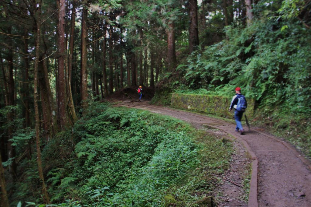 特富野古道_201458