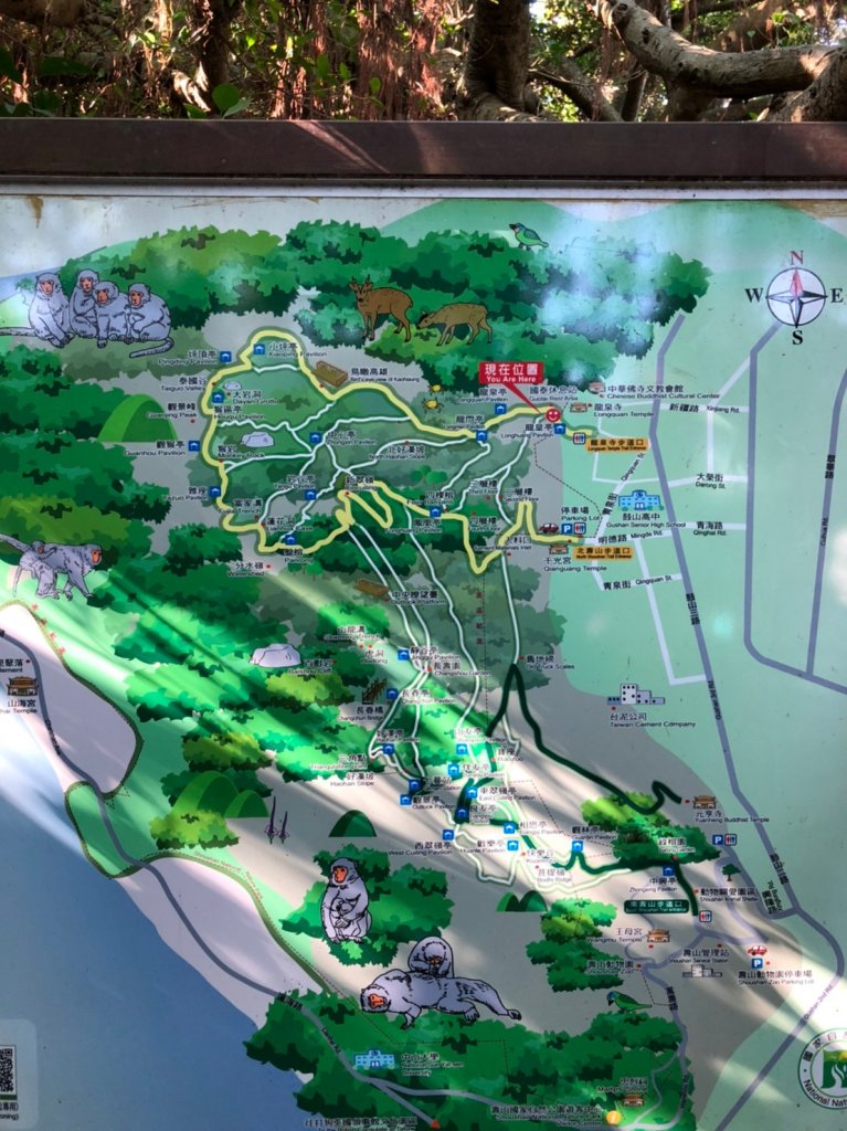 2019.11.17柴山練體力_743977