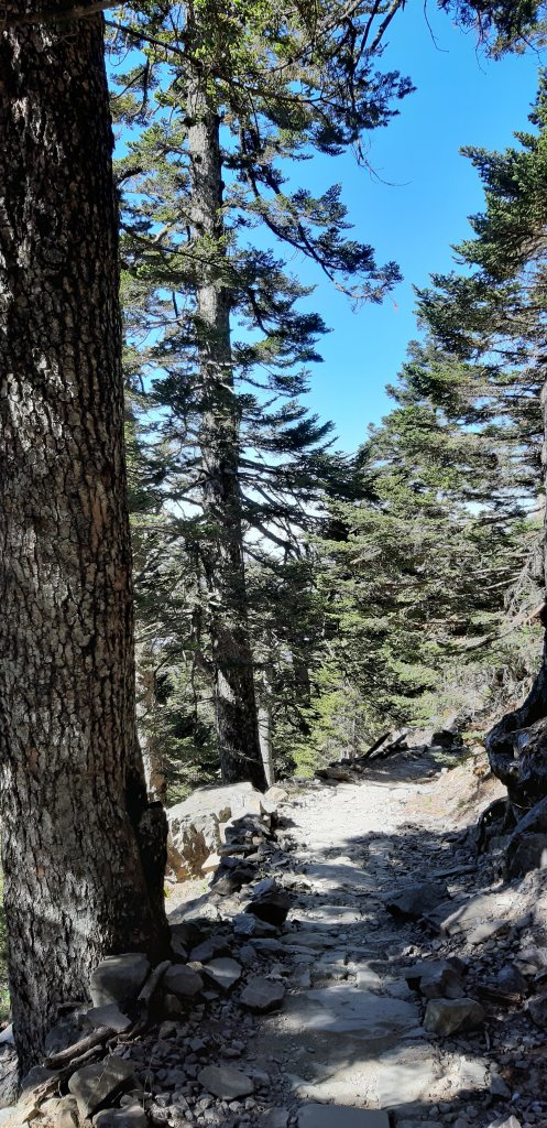 玉山前四峰之旅_869574