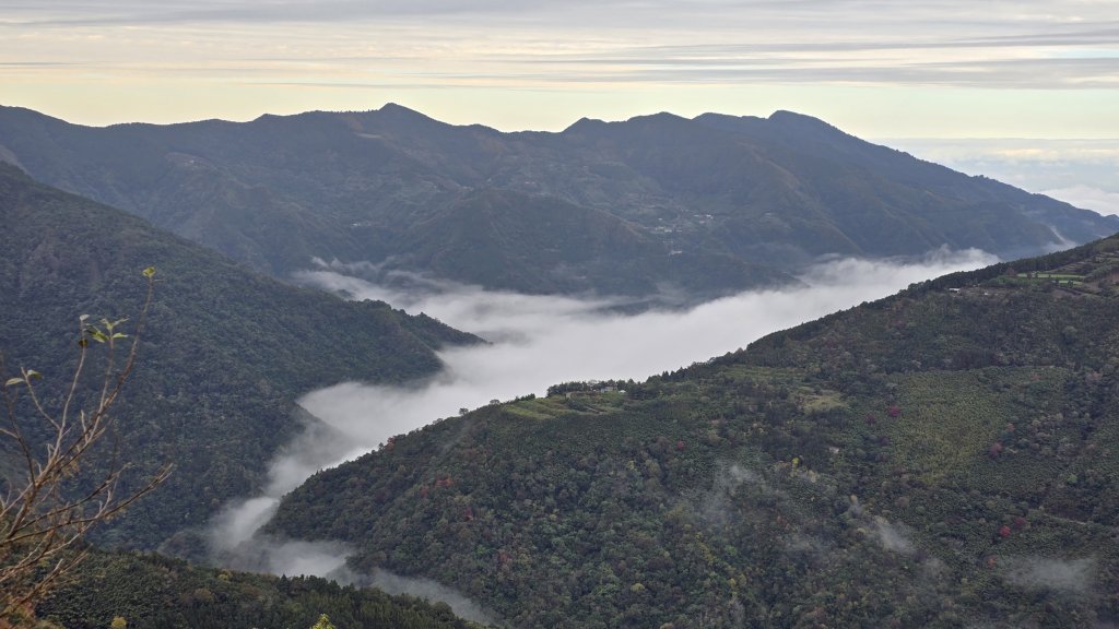 美到爆，觀霧國家森林遊樂區檜山巨木群步道封面圖