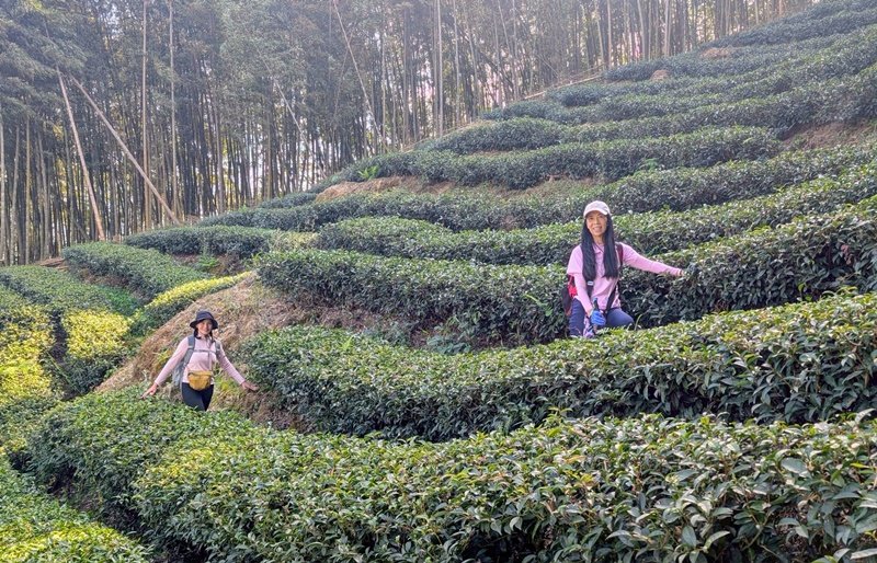 鹿谷小半天七連峰_2992109