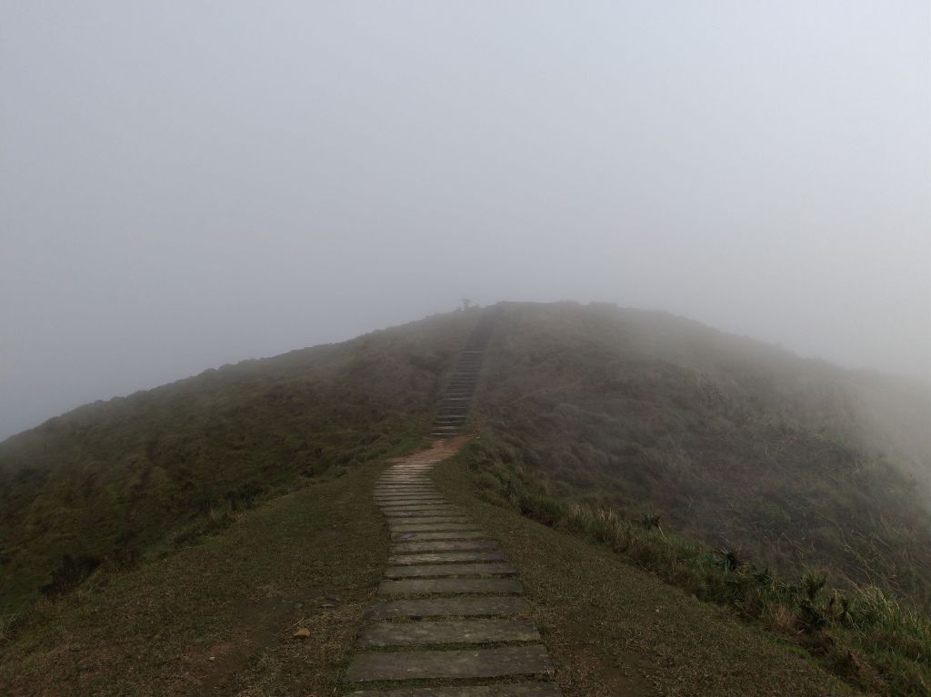 灣坑頭山_314509