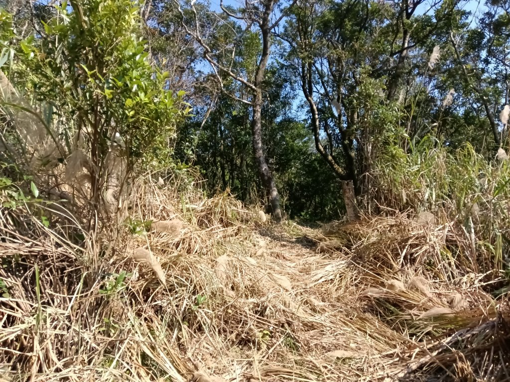 坪林區楣子寮尖+土地公遺址+火燒寮古道+枋山坑古道+枋山坑崙O型_2985644