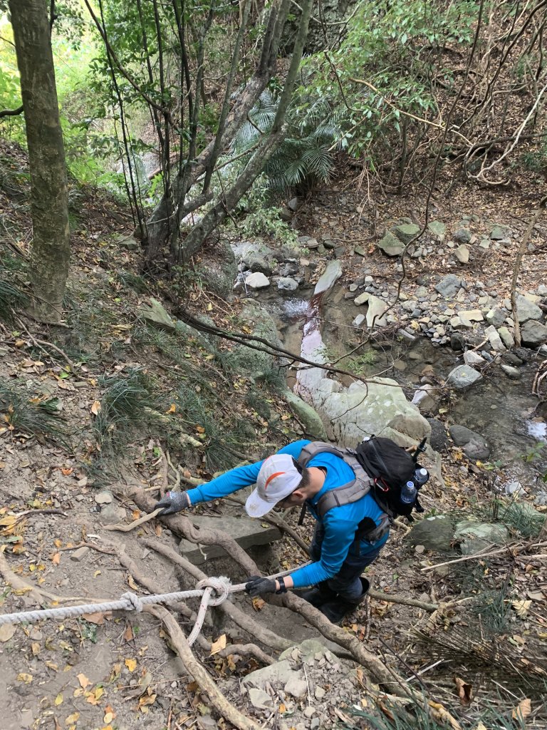 20260124屏東老佛山-老佛山南峰_2992328