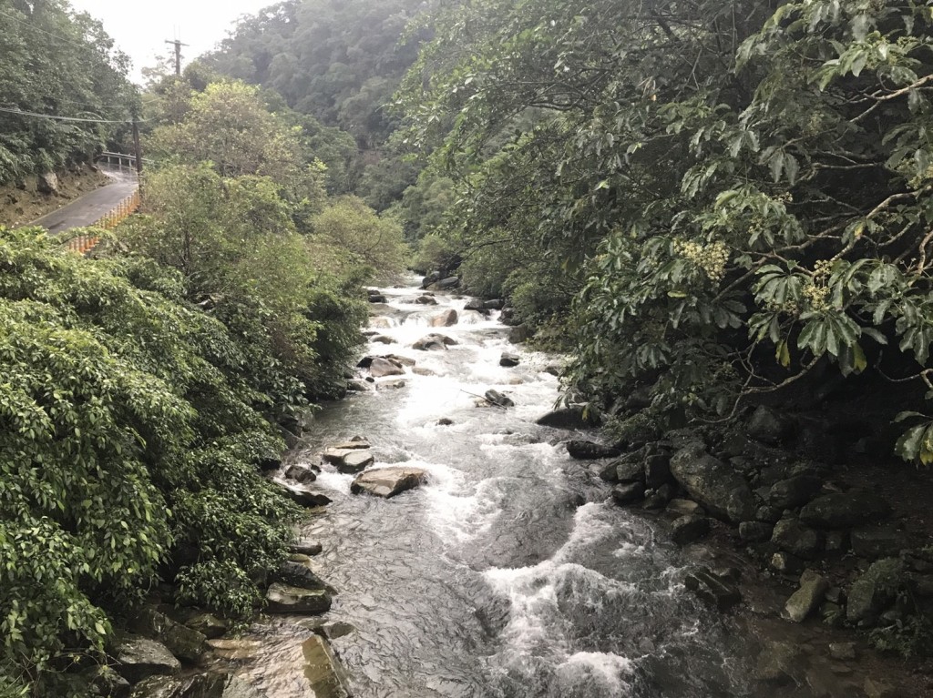 東北季風360度攻擊的草嶺古道_241584