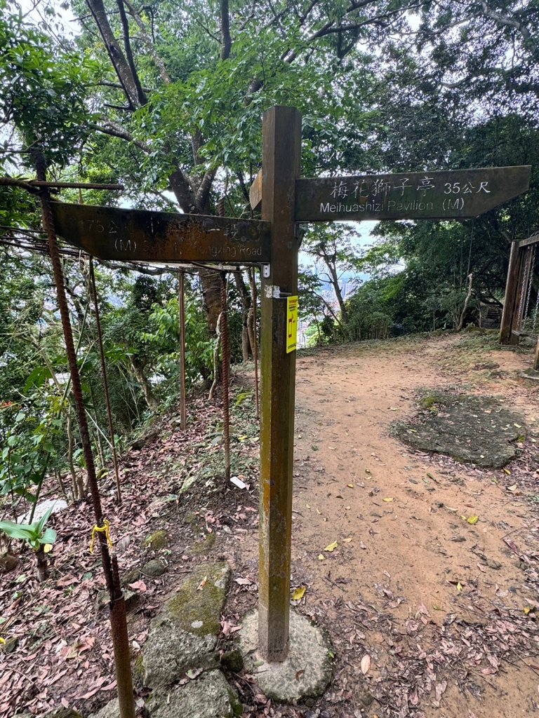 【新北】獅頭山(小獅山)步道_2512188