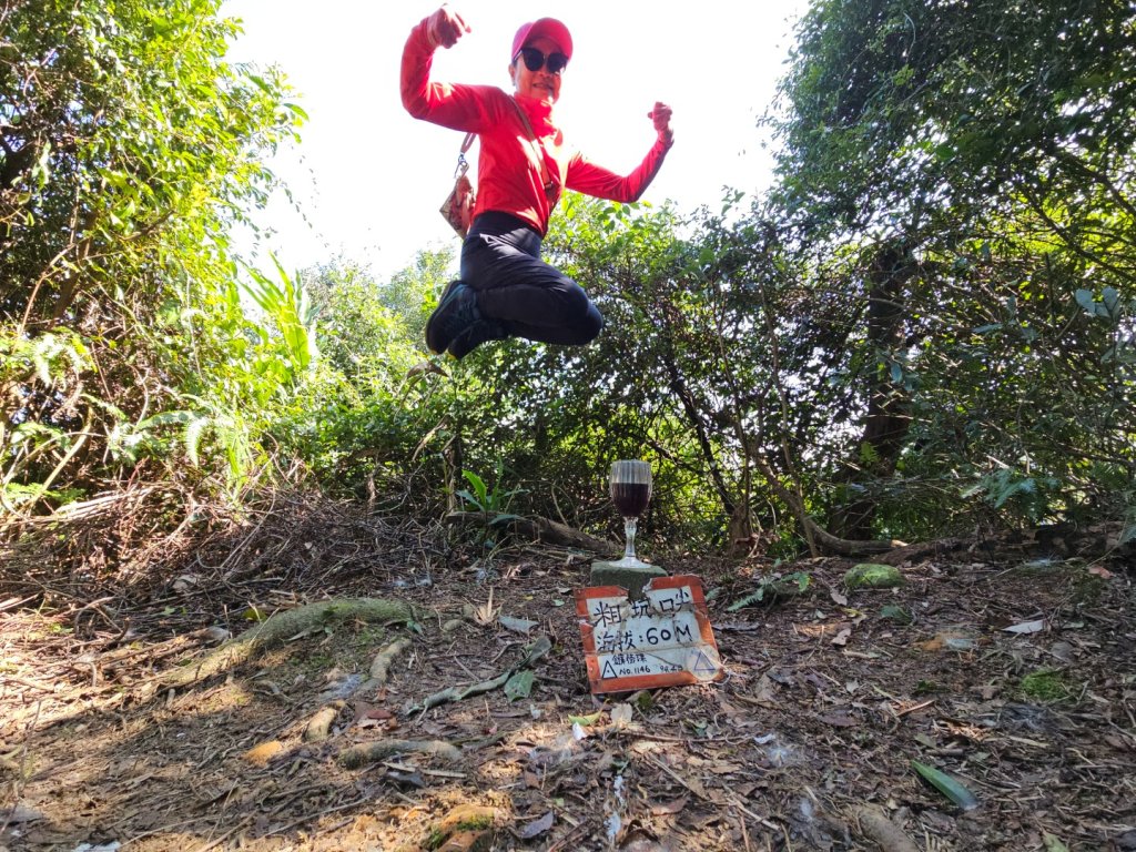 粗坑口尖.碇內尖.龍門山O型_2985714