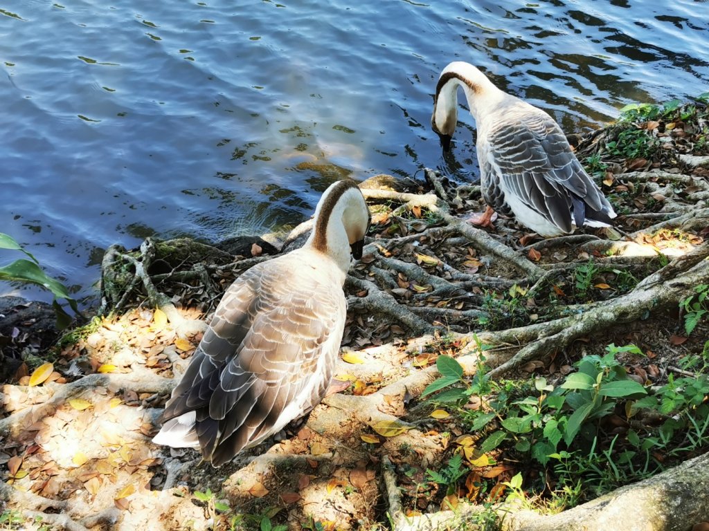 山湖海景盡收眼底_1790391
