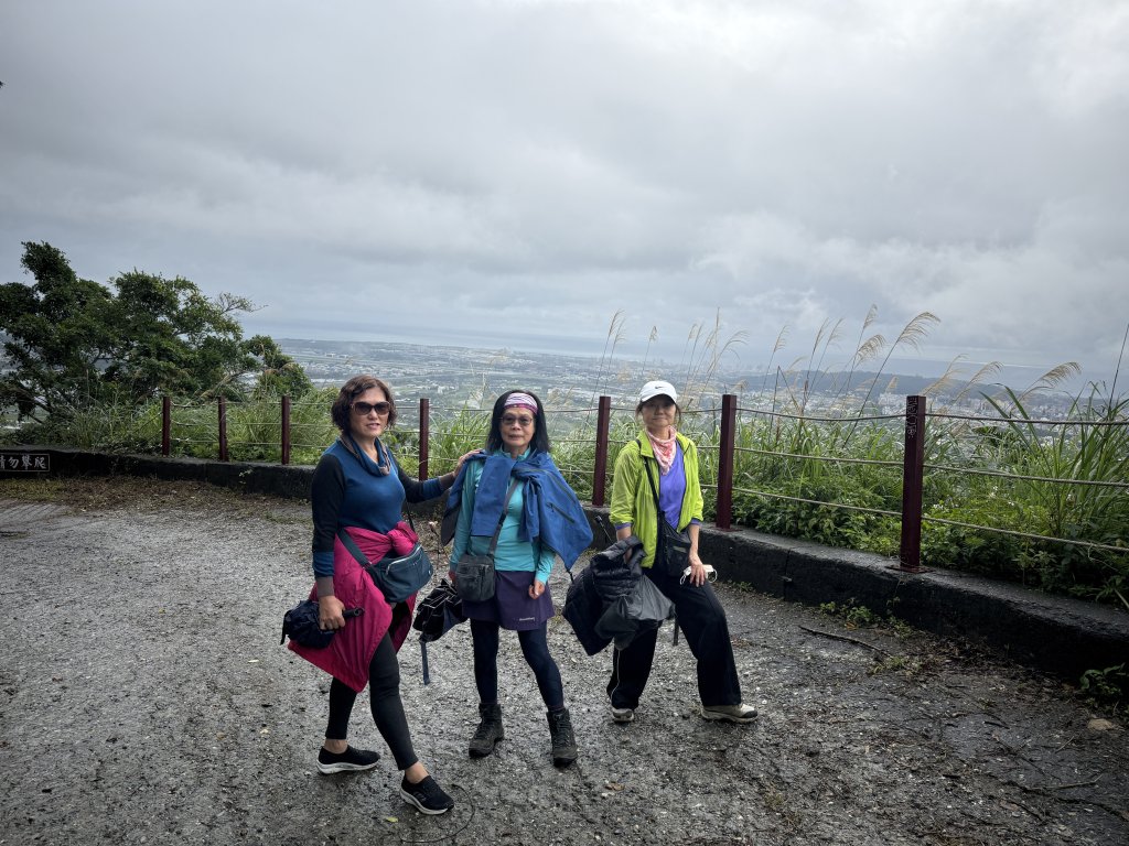 佐倉步道_2704766