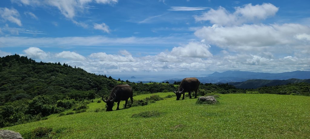 2022-0630 坪頂古圳雙溪古道O型_1750971