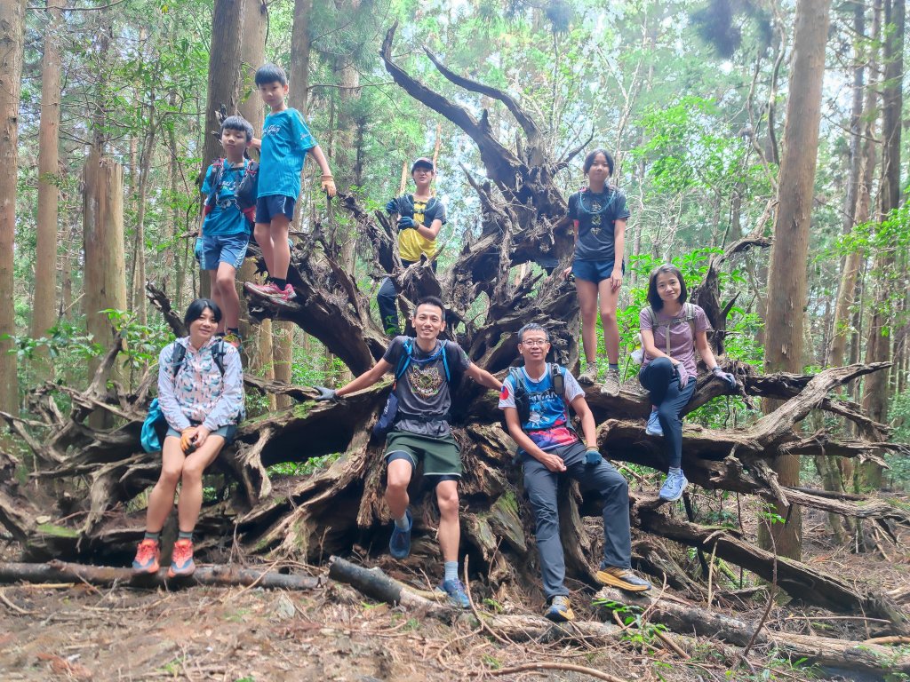 熱門山的冷門路，油羅山(二上四下)O型封面圖