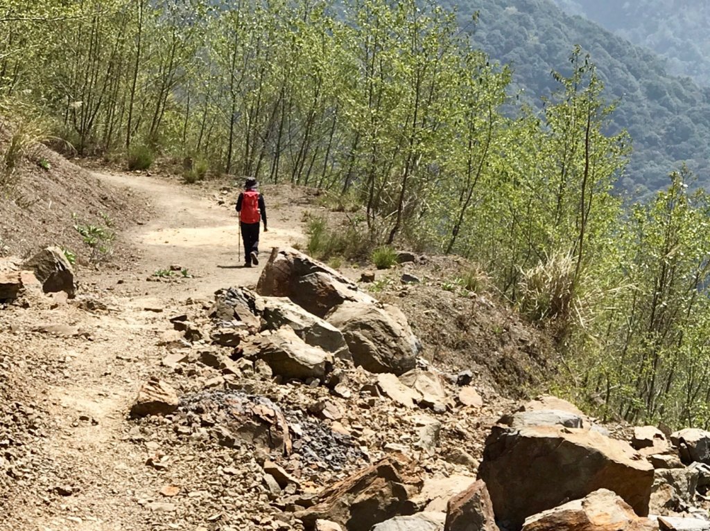 石山 石山引水道_551424