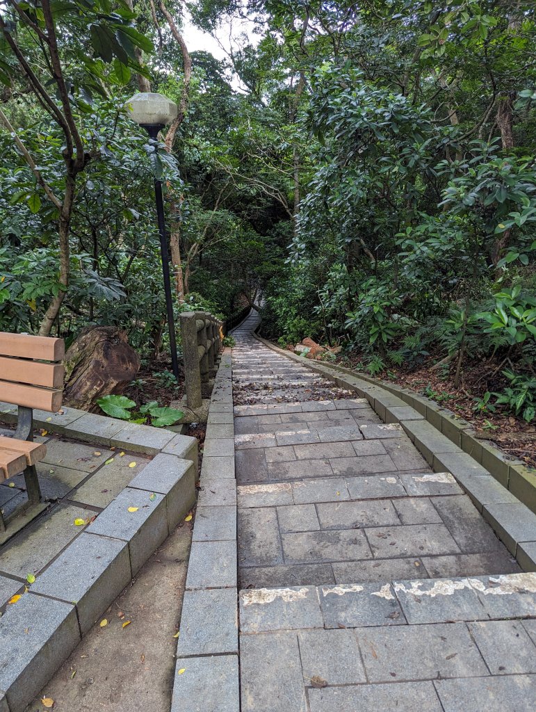 2023-09-08 十八尖山步道_2792880