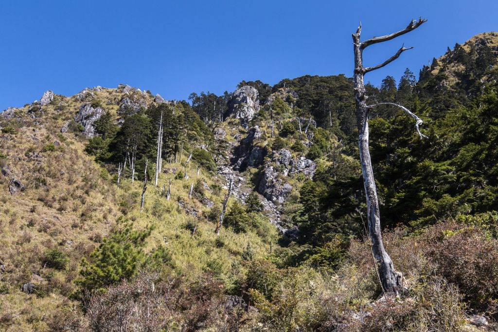 玉山前主峰_304691