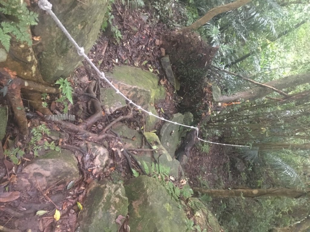 佛陀世界觀景、大竹坑山、十寮山_1927082