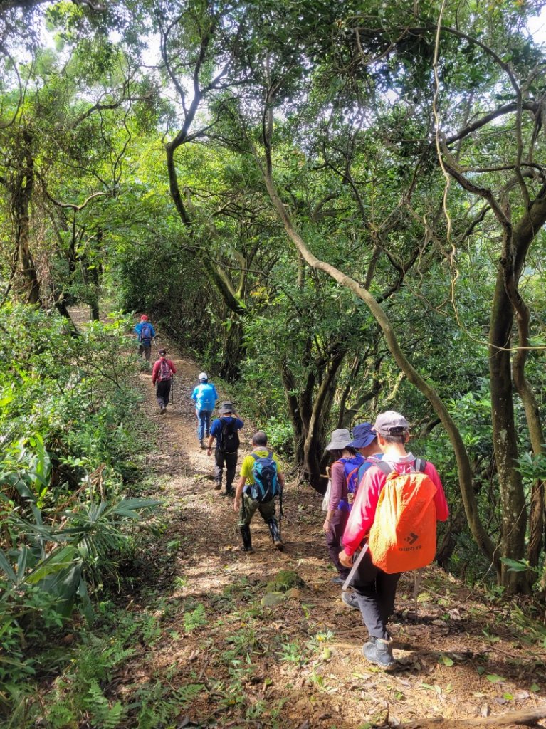 2022.11.03 內湖區健行_1901387