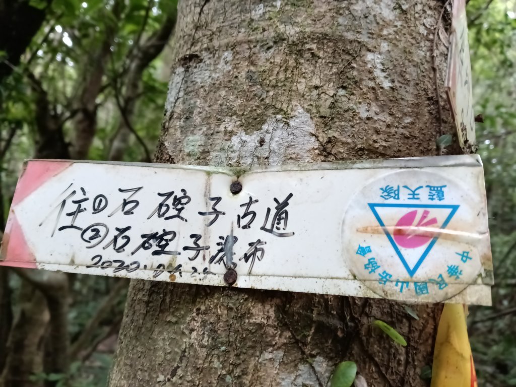 平溪區善覺寺步道+畝畝山北稜線+畝畝山+石硿子瀑布+灰窯瀑布O型_2940047