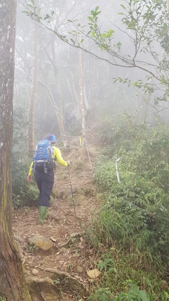 苗栗獅潭仙山_509392