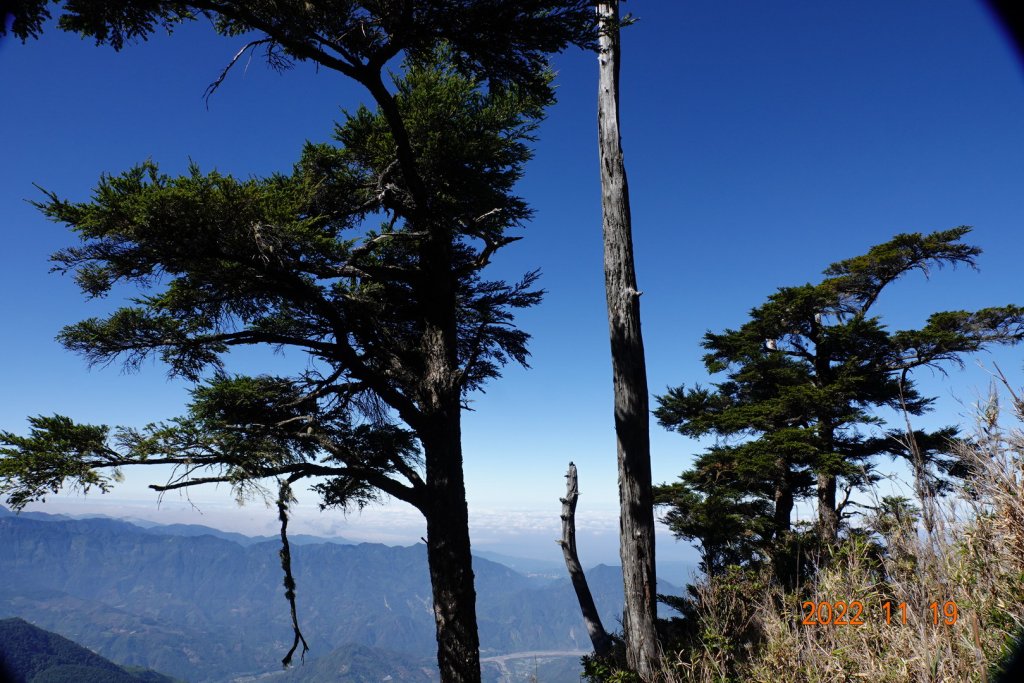 南投 信義 西巒大山_1922368