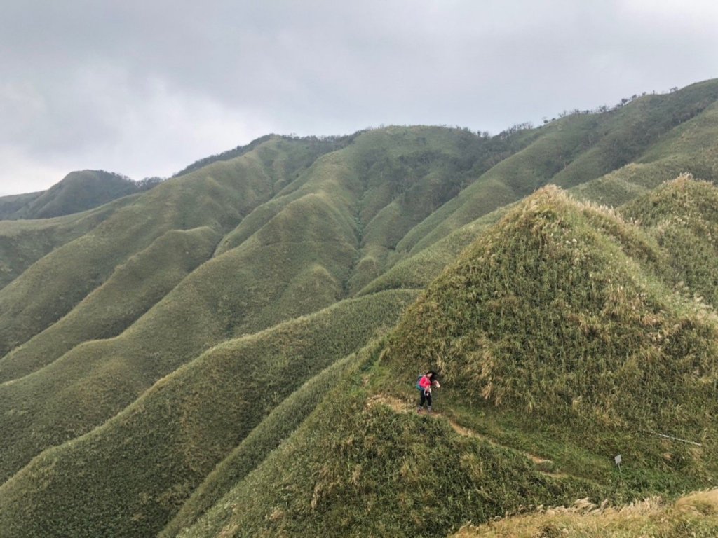 抹茶山上有草莓_448016