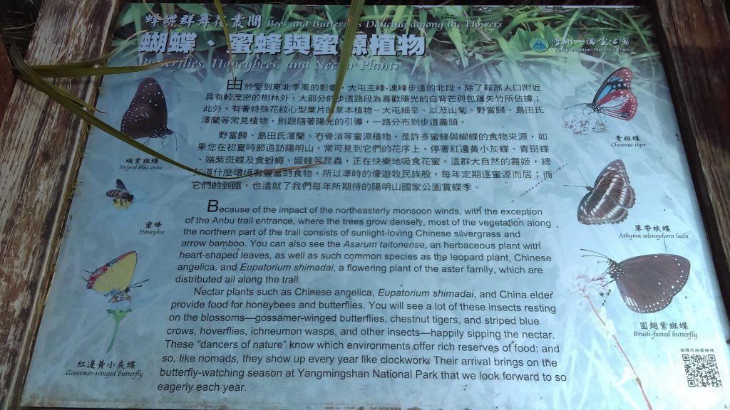 【臺北大縱走2】大屯山主峰、南峰、西峰_914086