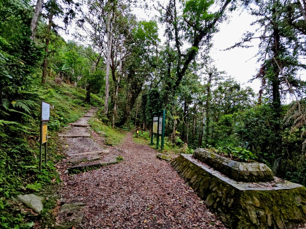 瓦拉米步道(登山口至佳心段)-(花蓮)臺灣百大必訪步道_2789432