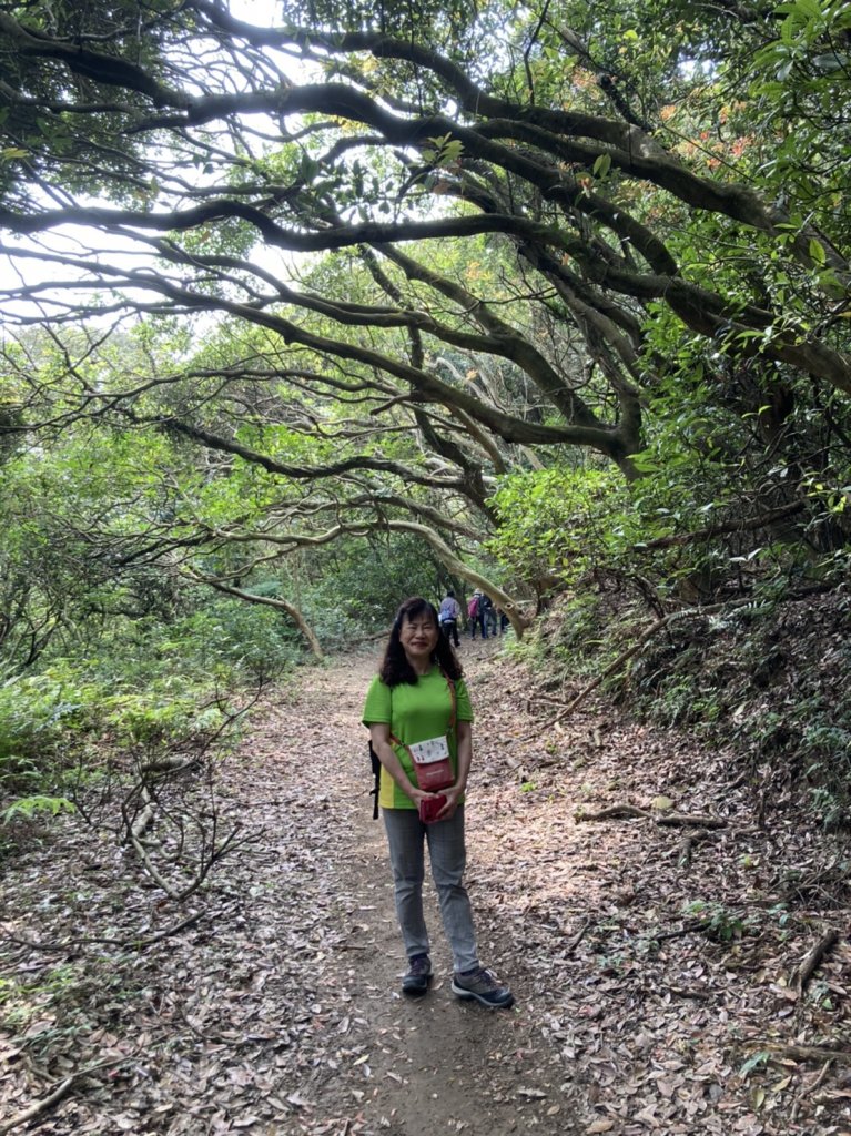 從新（心）出發遊蘆竹 - 横坑山、大古山_1317804