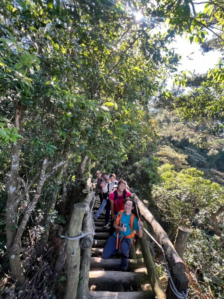 大坑五號步道、5-1號步道、頭嵙山_2668138