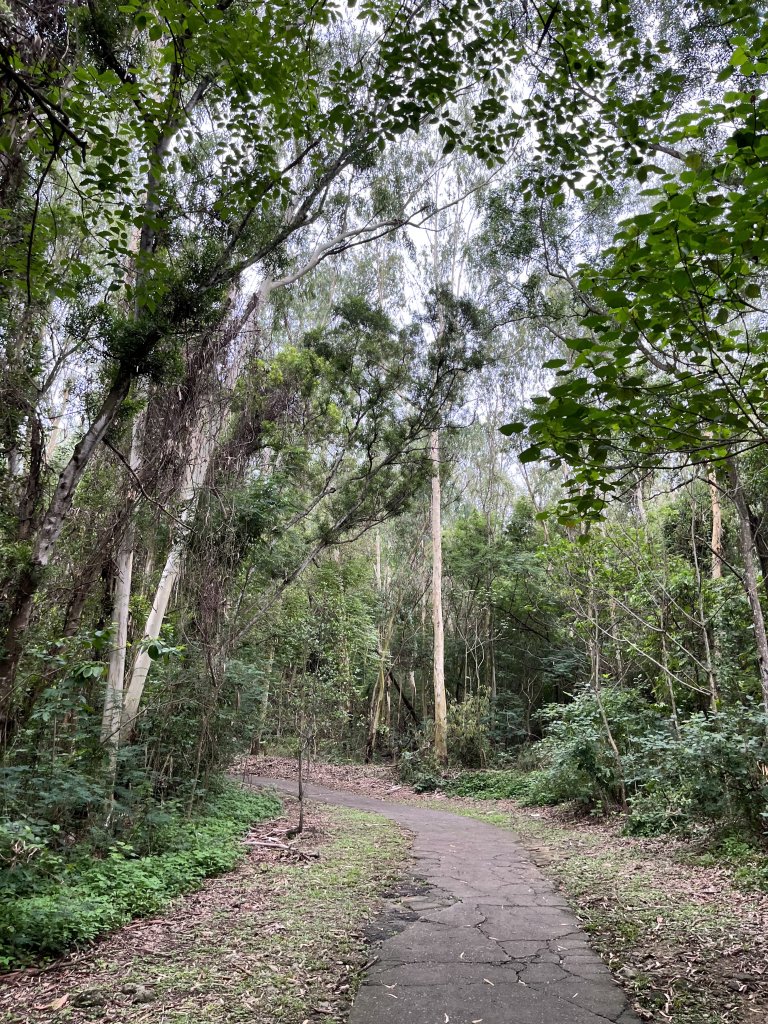 大崗山_大崗山北峰封面圖