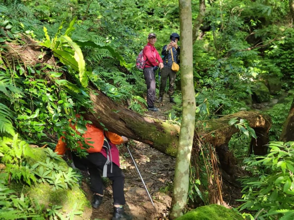 112.12.07 淡蘭古道（雙溪-十分）_2551539