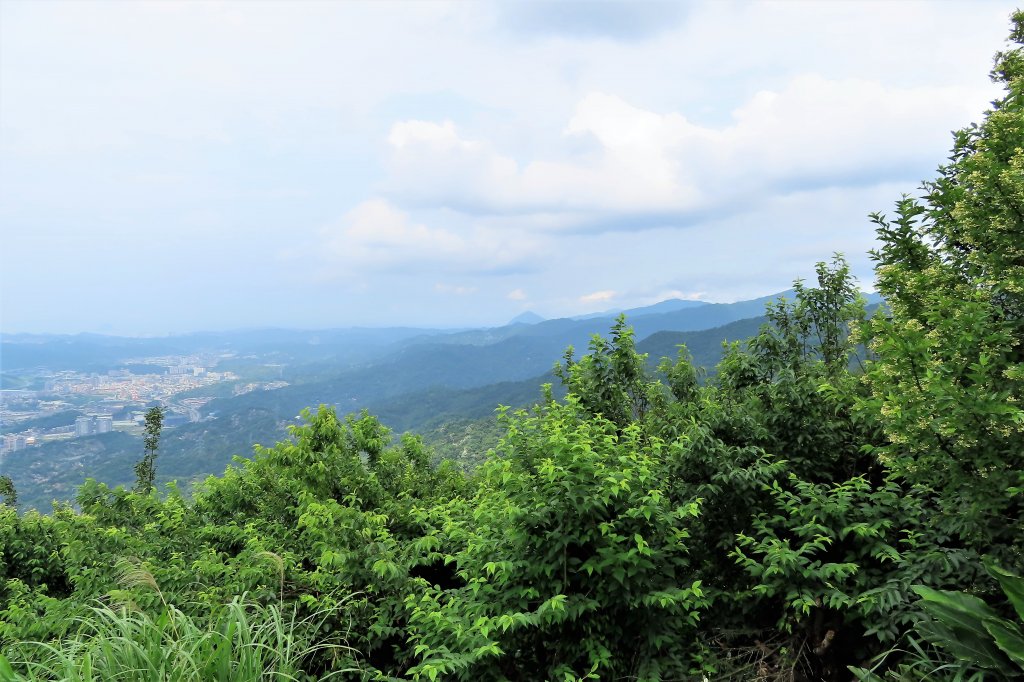 110.0504 大尖山步道_1385463