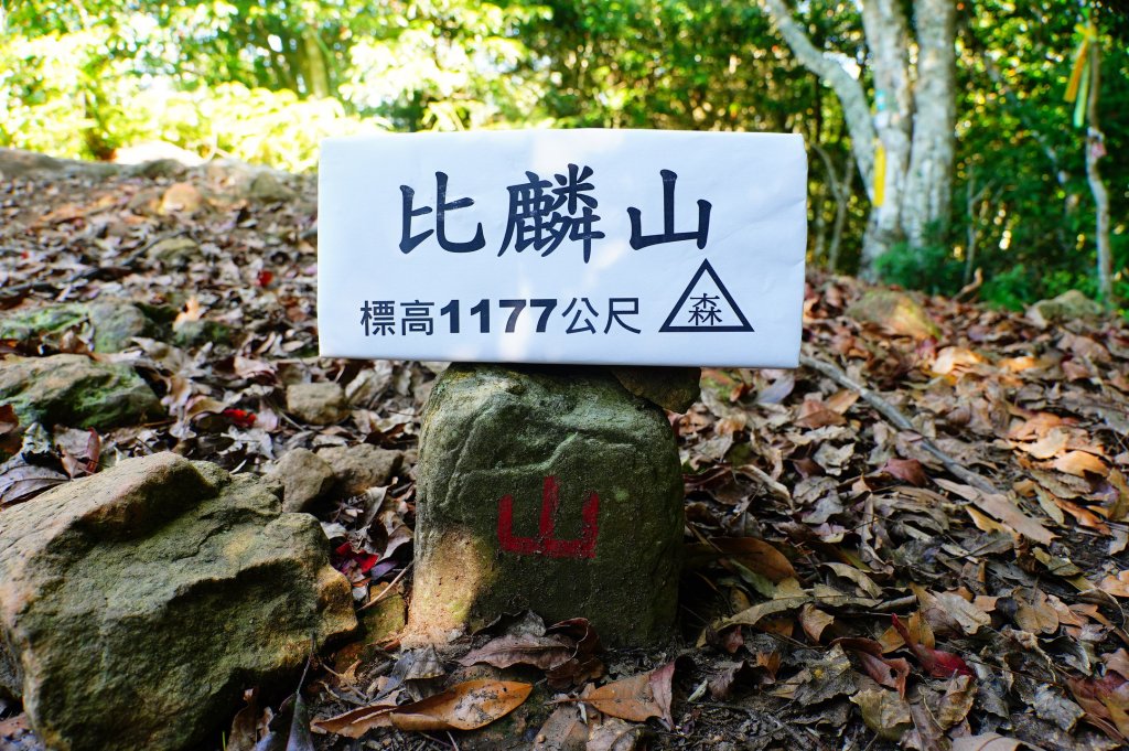 新竹 尖石 煤源山、比麟山、尖石山封面圖
