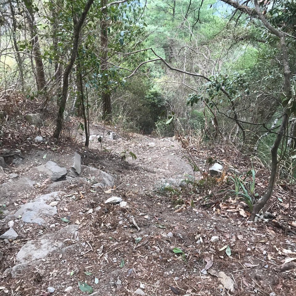 谷關七雄 馬崙山（老二）2023.03.04_2051344