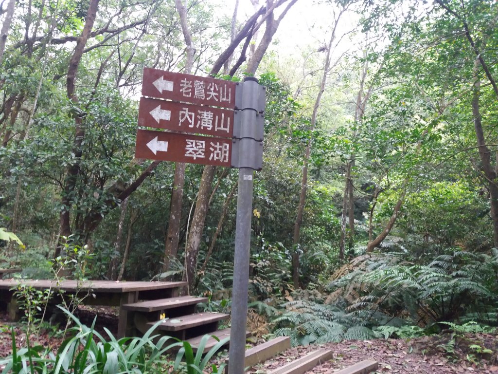 內溝山-油桐嶺-翠湖-老鷹尖南峰-老鷹尖_932603