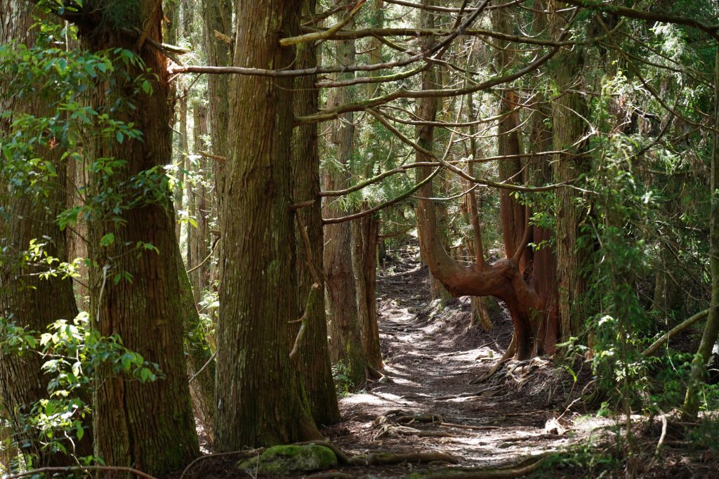 台中 和平 馬崙山_2796956