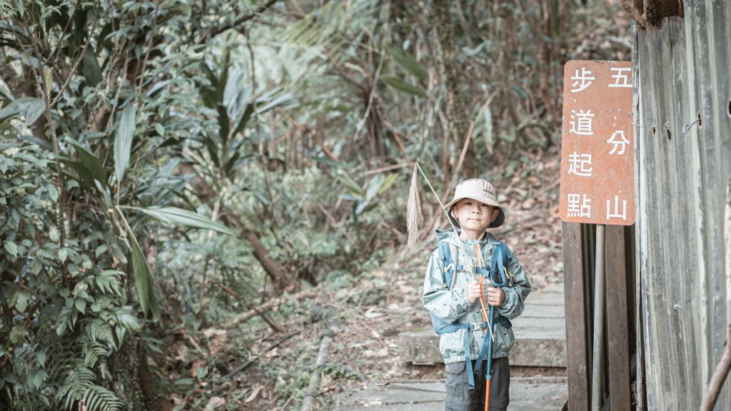 菅芒浪白｜五分山_2356489