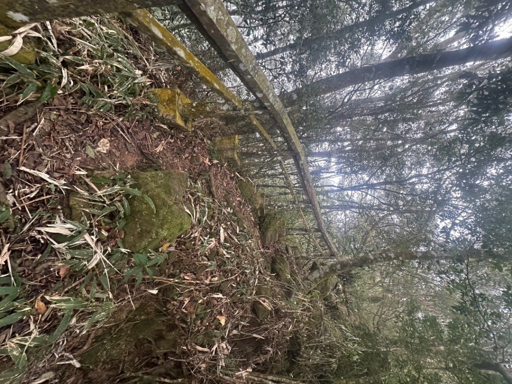 九份二山_2601165